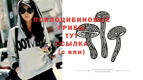 стафф Слюдянка